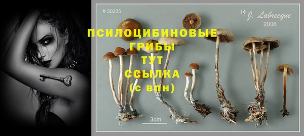 синтетический гашиш Абдулино