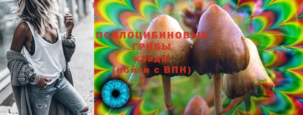 МДПВ Нязепетровск