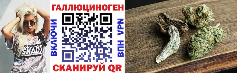 Псилоцибиновые грибы прущие грибы  что такое наркотик  Кириллов 